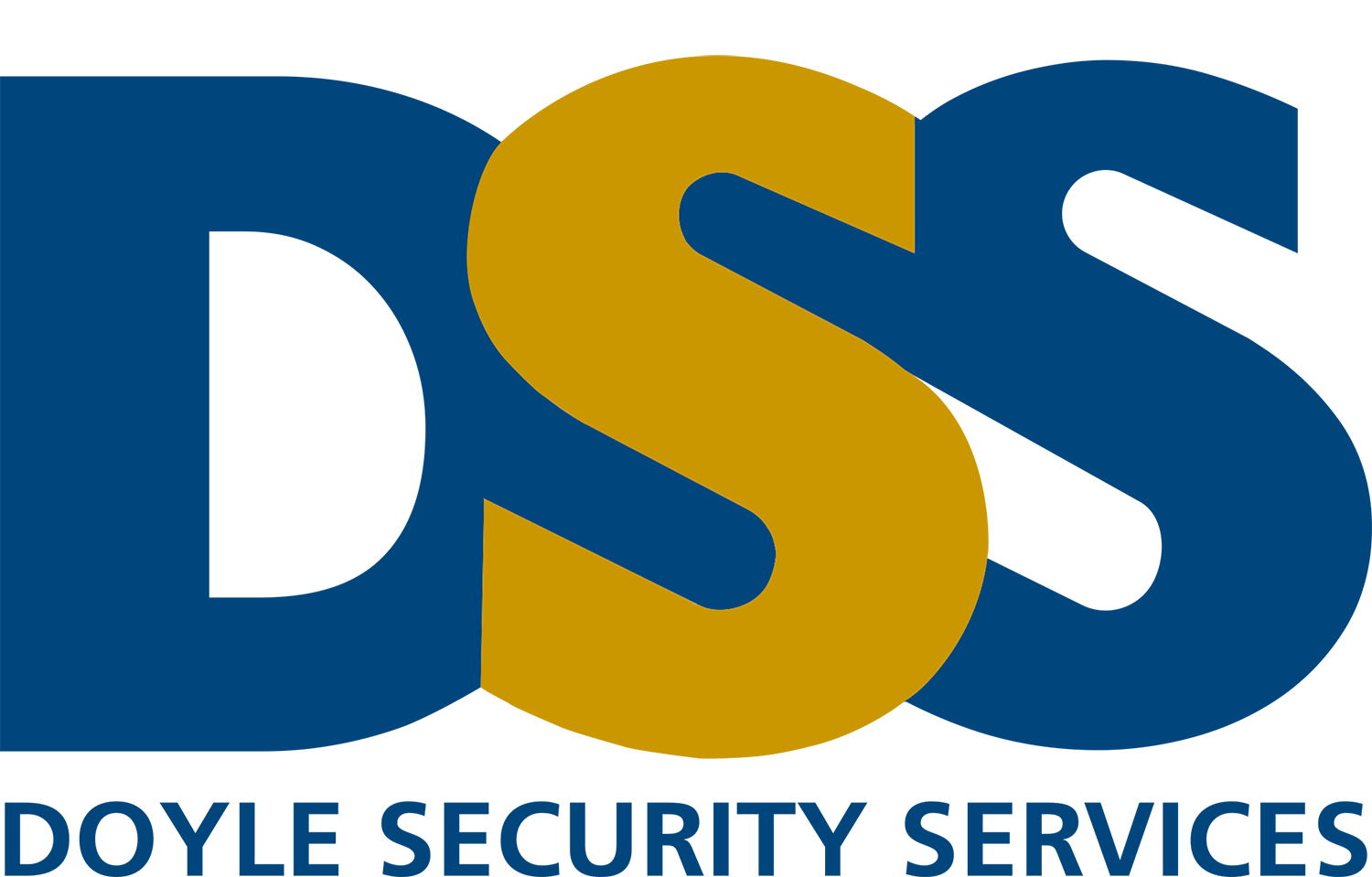 Doyle Security Services